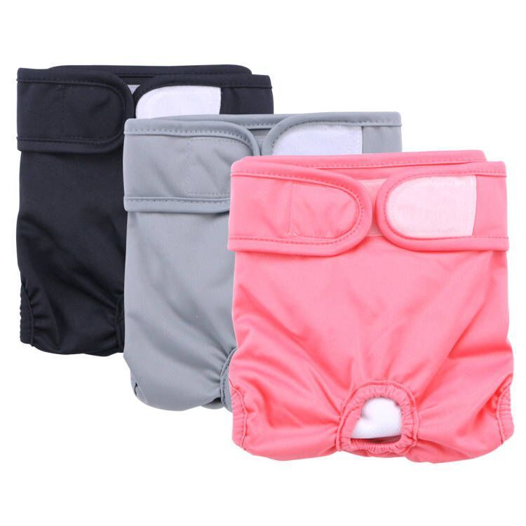 Ensemble de couches physiologiques pour chiennes_voghion.com