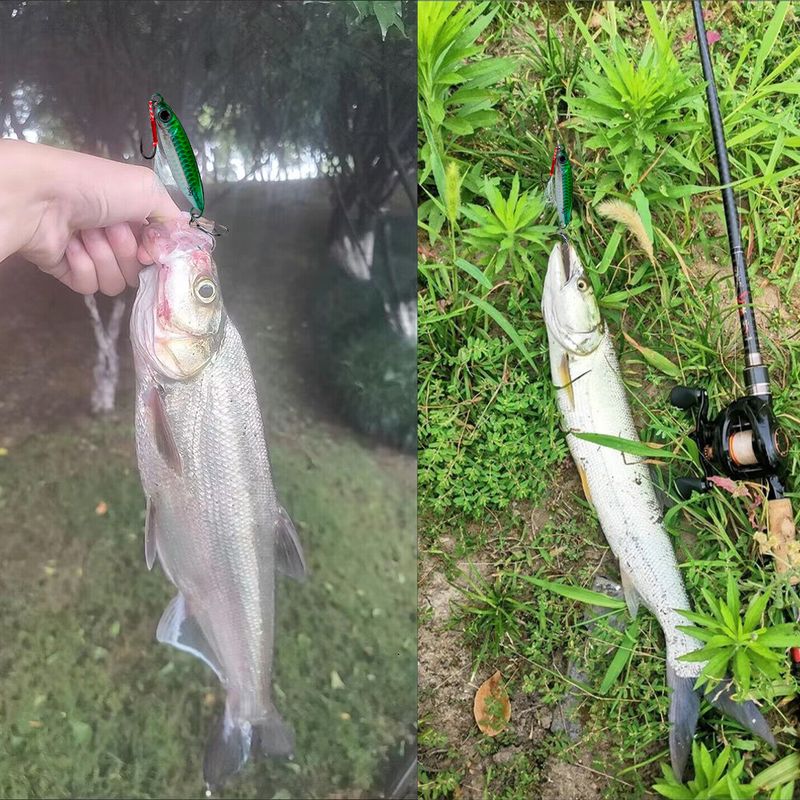 Esca per la pesca in mare con sgombro, 7-30 g, per la simulazione di pesci in piombo, set di esche_voghion.com