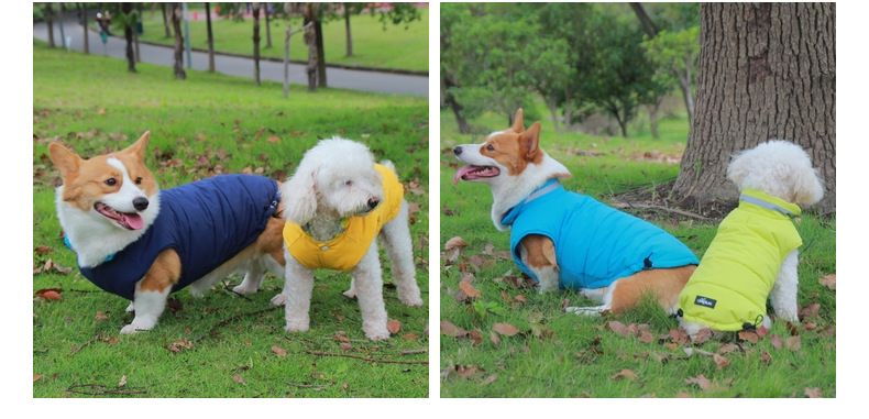 Höst- och vintertrendy valpkläder väst schnauzer corgi nallebjörn bichon frankrike pomeranian dunjacka_voghion.com