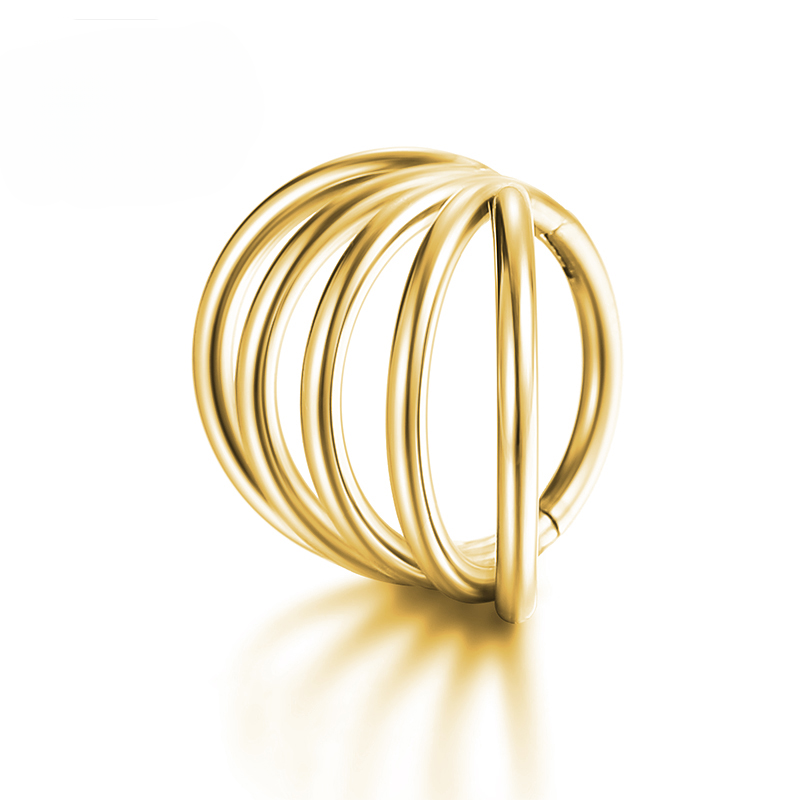 F136 Anello al naso in titanio Piercing al trago Cartilagine Segmento incernierato Daith Elica 16G Orecchio Spirale Setto Labret Gioielli per il corpo all'ingrosso_voghion.com