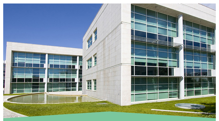 Pantaloni scurți de baie personalizați, din poliester, pentru bărbați, cu sublimare, respirabili, impermeabili, cu uscare rapidă, 382_voghion.com