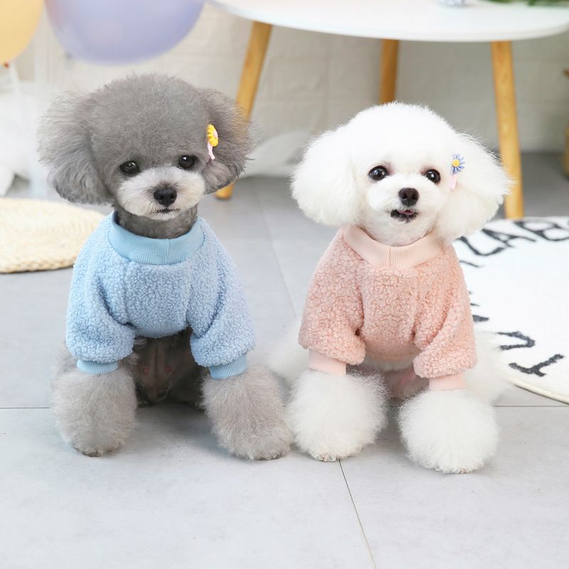 Huisdier hond herfst en winter nieuwe Teddy huisdier kleding, tweebenige jas, 21 rug teddybeer pluche jas_voghion.com