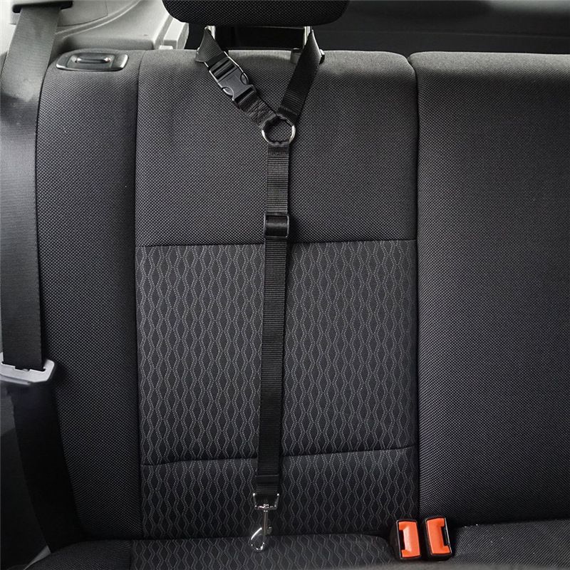 Auto Sicherheitsgurt Haustier Leine Hund verstellbares Sicherheitsseil_voghion.com