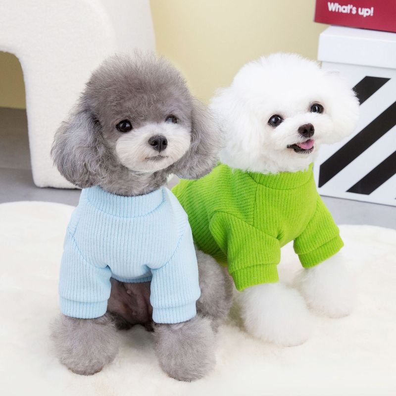 Dog autumn and Teddy cat winter pet clothing thickened new 23 teddy bear sweater_voghion.com