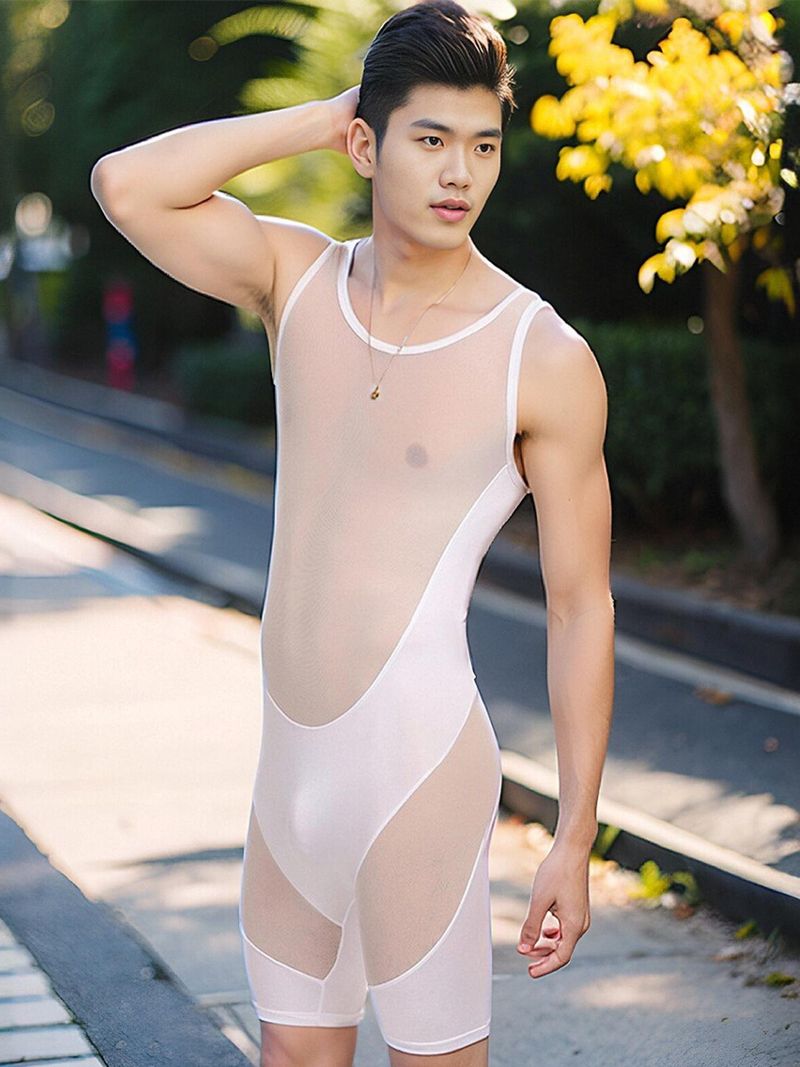 Intimo maschile completo in seta ghiacciata, filato di rete, sexy, sottile e trasparente, per ragazzi, sportivo, per adulti, intimo, moda gay_voghion.com