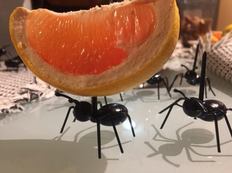Myretandstikker Bento-skilt Myrebevægelig, dæmpet gaffel Festserie Frugtgaffel Plastmyretaffel_voghion.com