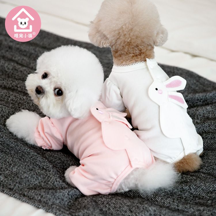 Stadt Herbst Winter Halloween Transformation Kostüm Haustier Für Katzen Und Hunde Teddy Kleidung_voghion.com