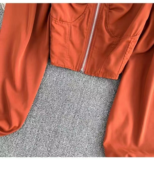 Damenbekleidung Retro Mädchen Reißverschluss Freiliegendes Schlüsselbein Puff Langarmshirt Damen Modisches Kurzes Top Crop Top_voghion.com