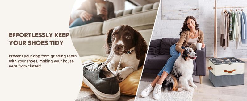 Scatola per scarpe ..._voghion.com