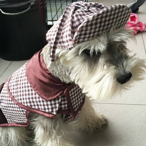 Costume Sherlock Holmes pour chien de petite et moyenne taille, vêtements amusants pour l'automne et l'hiver_voghion.com