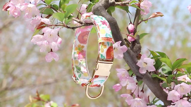 Personalized Printed Collar, Dog Necklace, Cute Bow, Flower, Identification Collars Pets, Anti-Lost For Small And Large By PawParty Store_voghion.com