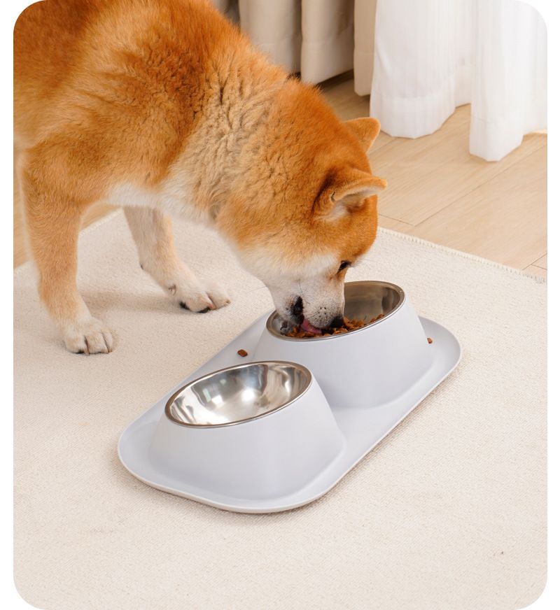 Hundmatset Husdjursskål Halsskydd läckagesäker mat Rostfritt stål dubbelskål Katt- och hundmatset Dubbelskål Husdjurstillbehör_voghion.com