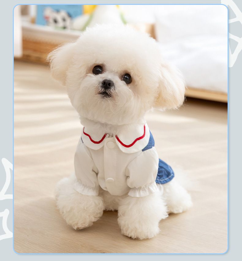 Einfache klassische Jeanskleidung, kleine Oberteile mit zwei Beinen, Röcke für Outdoor-Mode, Hundekleidung für Frühling und Sommer_voghion.com