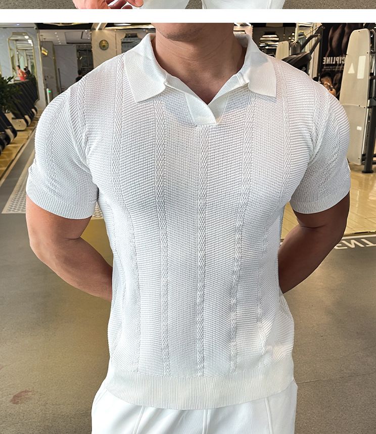 Herren-Strick-Poloshirt – Frühling/Sommer, kurzärmelig, lockere Passform, Revers, Freizeithemd_voghion.com