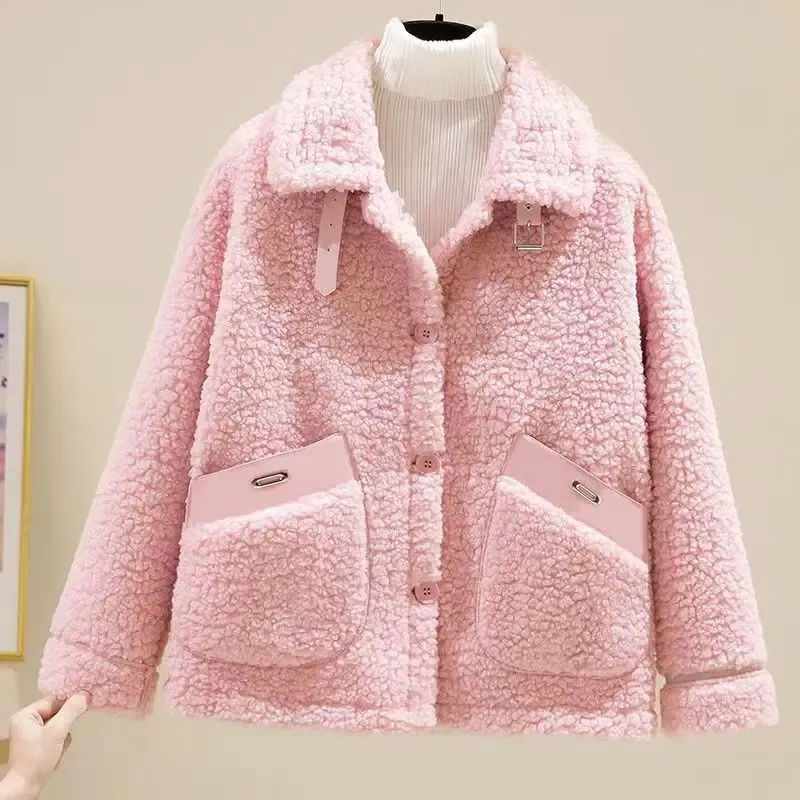Lamb Fur Short Jacket Women's Hot Sale Of The Season New Autumn Winter Korean Style Integrated Particle Fleece Compact Size Vers_voghion.com