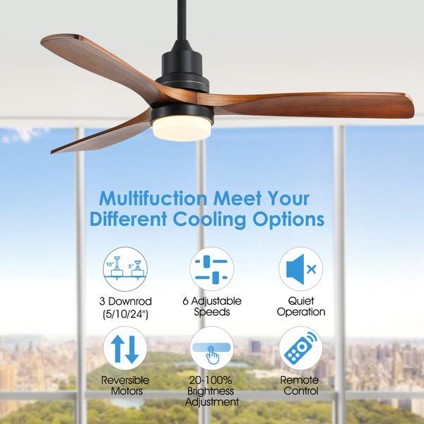 52 Inch Ceiling Fan Light With 6 Speed Remote Reversible Energy-saving DC Motor_voghion.com