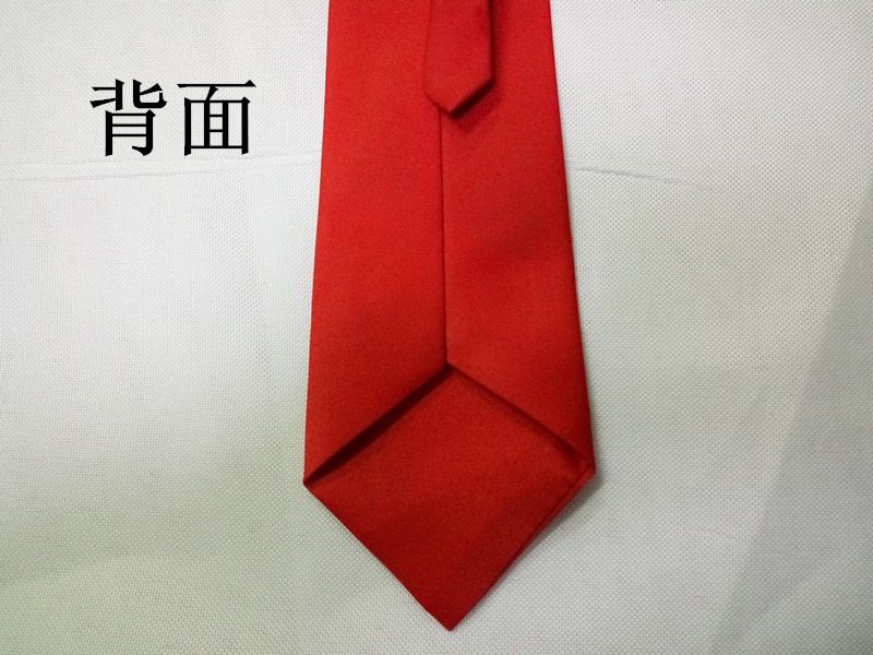 Adult Zipper 43cm Easy Pull Team Security Military Training Tie Black_voghion.com