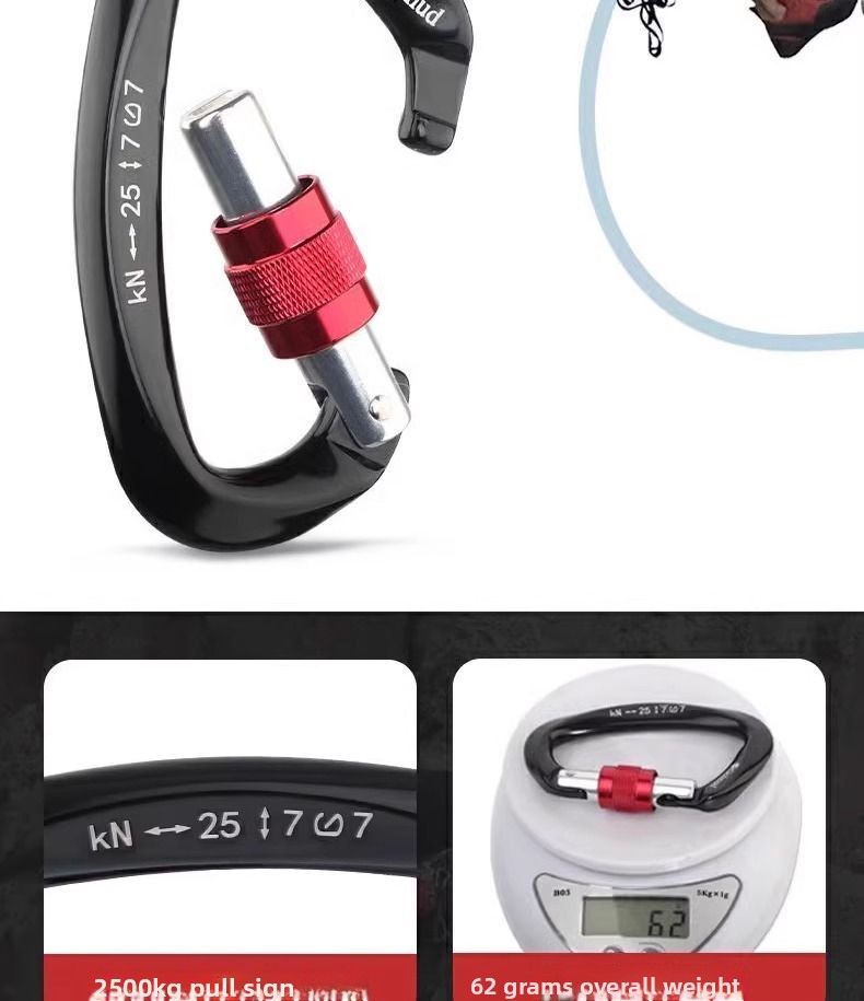 Gorm Professional Climbing Master Lock Hook 9203 Outdoor-Quickdraw-Karabiner Sicherheits-Aluminiumlegierung D-Typ Hängeschnalle_voghion.com