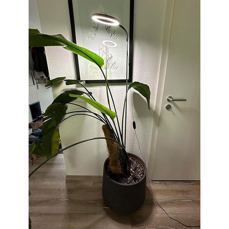 160 grouss Scheiwen Indoor Sukkulentblummen kënnen d'Héicht upassen 10w Zäitreguléiert Planzewuesstumsfëllliicht Grenziwwerschreidend Neit Produkt_voghion.com