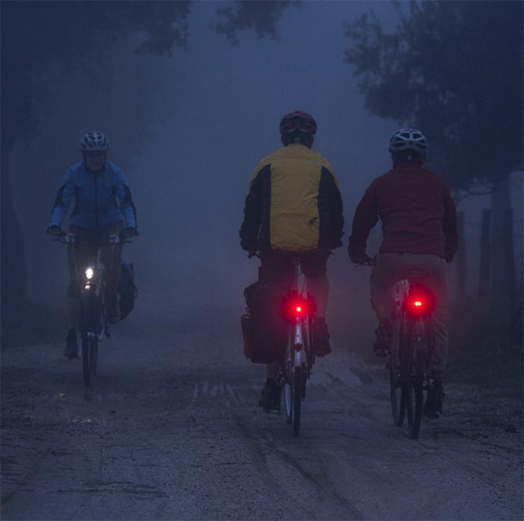 Luces traseras de bicicleta, bicicletas de montaña, carga USB, conducción nocturna al aire libre, luces de advertencia de alto brillo, fruta que rebota_voghion.com