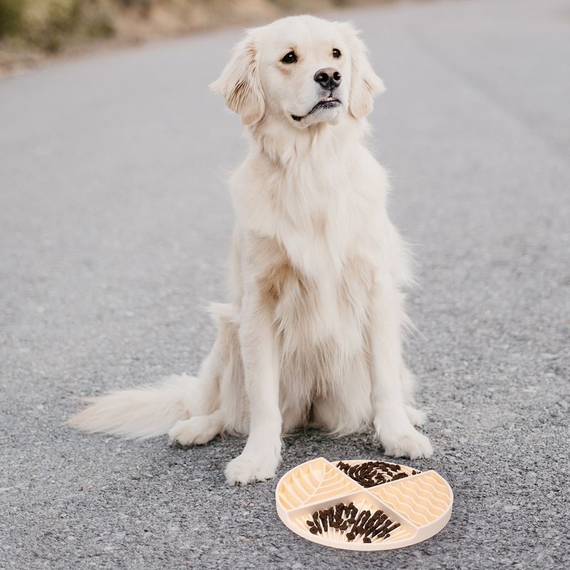 Futternapf mit Fächern, Fressmatte für kleine und mittelgroße Welpen, Anti-Erstickungs-Napf mit Saugnapf_voghion.com