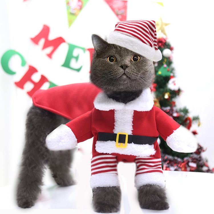Weihnachten Große hund Katze Santa Claus kleidung hund heimtierbedarf pelzigen lustige zwei füße goldene haar transformation_voghion.com