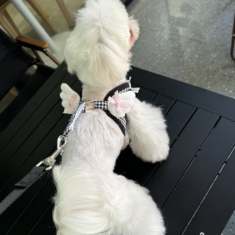 Heartwarming Original Pet Harness Leash For Dogs And Cats, Cross-border New Small Wings Set_voghion.com