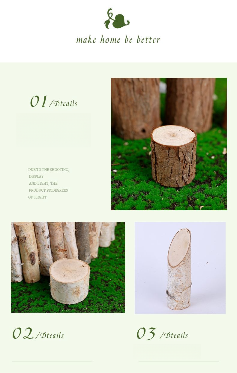 Tronc Segment naturel Souche d'arbre décorative solide Aménagement paysager Bouleau blanc Bois Pile Clôture Barrière Bûche Branche sèche_voghion.com