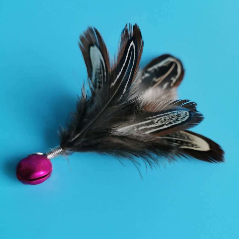Teaser Wand Pet Cat Toy Bell Feather Replacement Head Best Seller_voghion.com