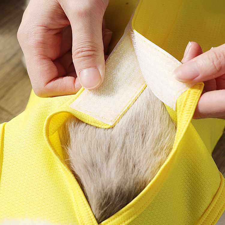 Tuta post-operatoria anti-leccamento anti-ferita per gatti femmine, elastica estiva per animali domestici_voghion.com