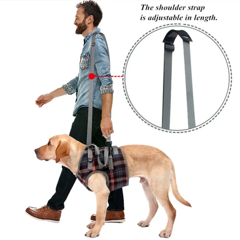 Colete de reabilitação ajustável para elevação da perna traseira do cão é um produto para animais de estimação projetado especificamente para cães com deficiência_voghion.com