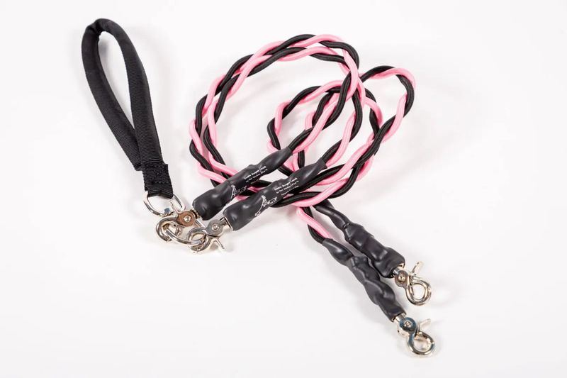 Neue Bungee Creative Doppelte Elastische Hundeleine_voghion.com