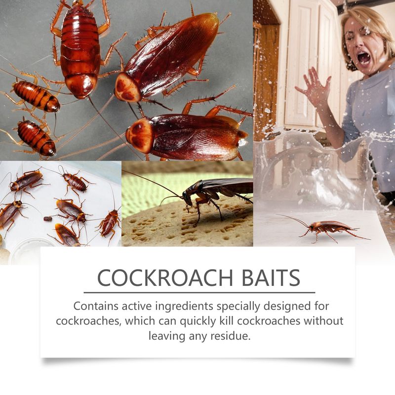 Jue-Fish Cockroach Bait, Cockroach Home Type Effective Cockroach Kill Kitchen Cockroach Paste Cockroach Kill Glue Bait_voghion.com