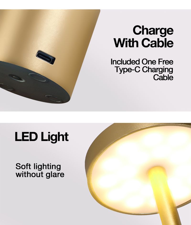 Modern Style Touch Sensor Table Rechargeable Cordless Desk Lamp 3 Color Adjustable Temperatures LED Night Light_voghion.com