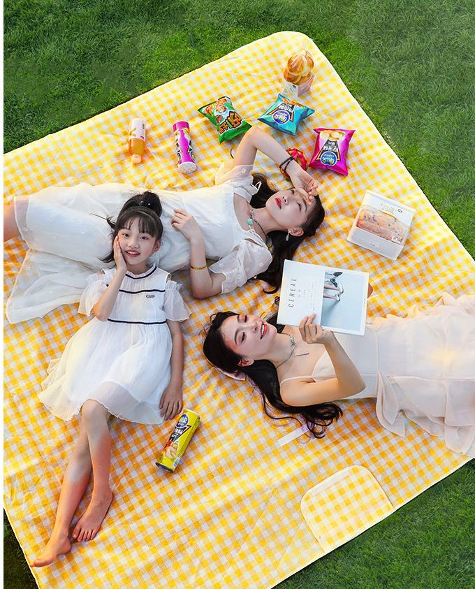 Outdoor Waterproof Moisture-Proof Dirt-Resistant Portable Spring Outing Ground Ins Style Cloth Camping Picnic Mat_voghion.com