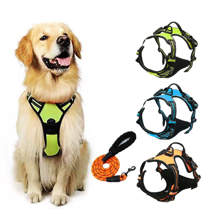 Pet Double Layer Explosion-Proof Dog Leash Buckle Collar Reflective Vest Harness_voghion.com