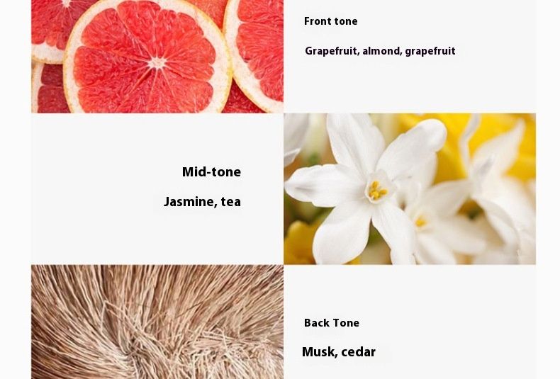 Nieuwe Perfume Night Damesparfum 50ml Langdurige frisse bloementoon Studentendroomminnaar ontmoet natuurlijke eau de toilette_voghion.com