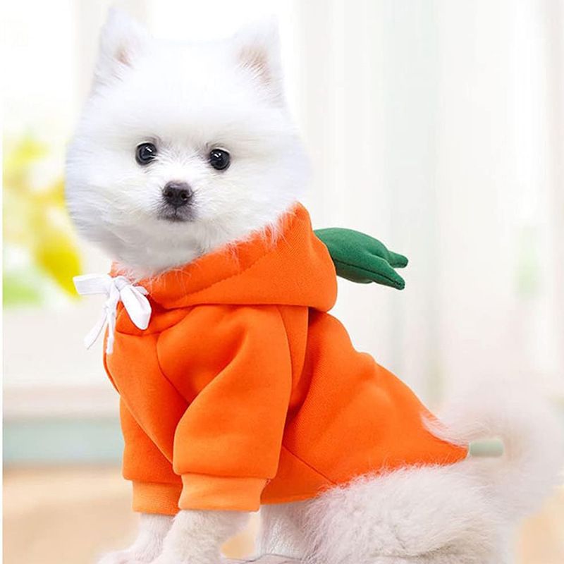 Pet Clothes Dog Cat Fruit Transformation Outfit Teddy French Bulldog Small Medium Dogs Autumn Winter Fleece Jacket_voghion.com
