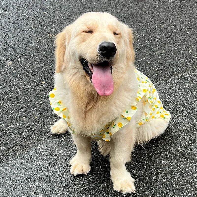 Haustierkleidung Labrador Samojede Kleid Golden Retriever Border Collie Mittelgroße Hunde Große Hundeweste_voghion.com