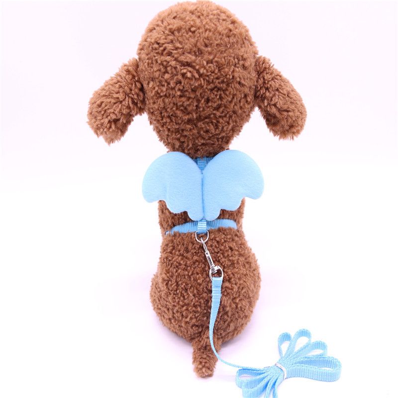 Forniture per animali domestici, guinzaglio a forma di angelo, imbracatura per petto, catena per cani_voghion.com