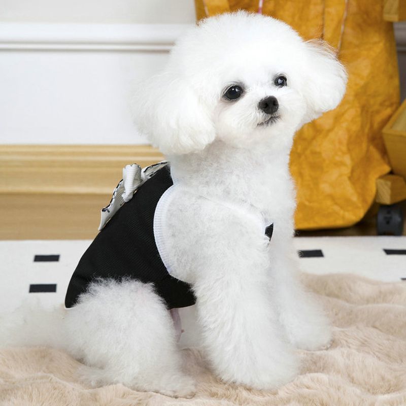 Dünne Sommerweste, atmungsaktiv, für kleine Hunde, Kleidung für Chihuahuas, französische Bulldoggen, Haustierbedarf von PawParty Store_voghion.com