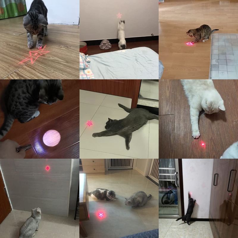 1 Pcs Pet Cat Toy Multi-function Pointer USB Rechargeable Toy Cat Interactive Fun Indoor Chasing Cat Toy_voghion.com