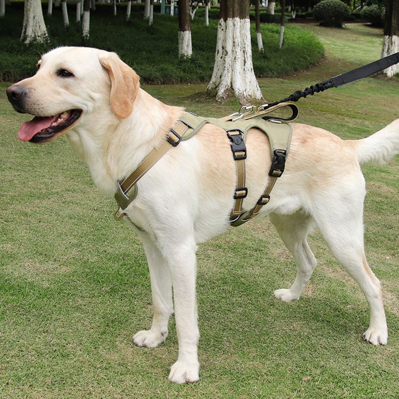 Geschirr für große Hunde, reflektierender Nylon-Westengriff, nicht festziehend, zum Spazierengehen und Spazierengehen mit Haustieren von PawParty Store_voghion.com