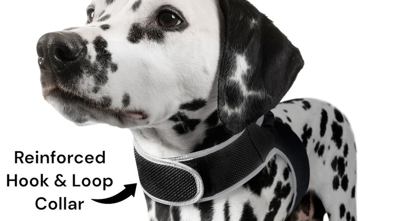 Portable Dog Cat Collar Mini Pet Tracker for Realtime Pet Surveillance Size:XS_voghion.com