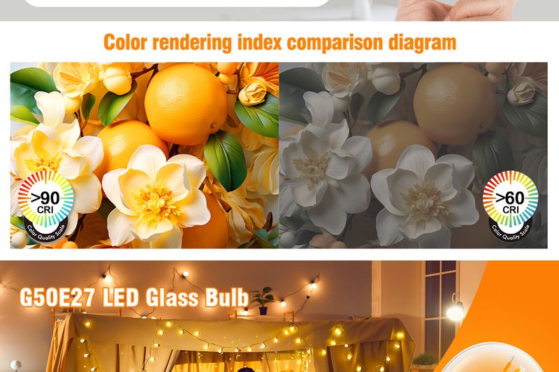 Vintage LED Edison Bulb G50 - E27 Base 120V 90 CRI Clear Glass Dimmable (Warm White 2700K Energy Saving Decorative Lighting)_voghion.com