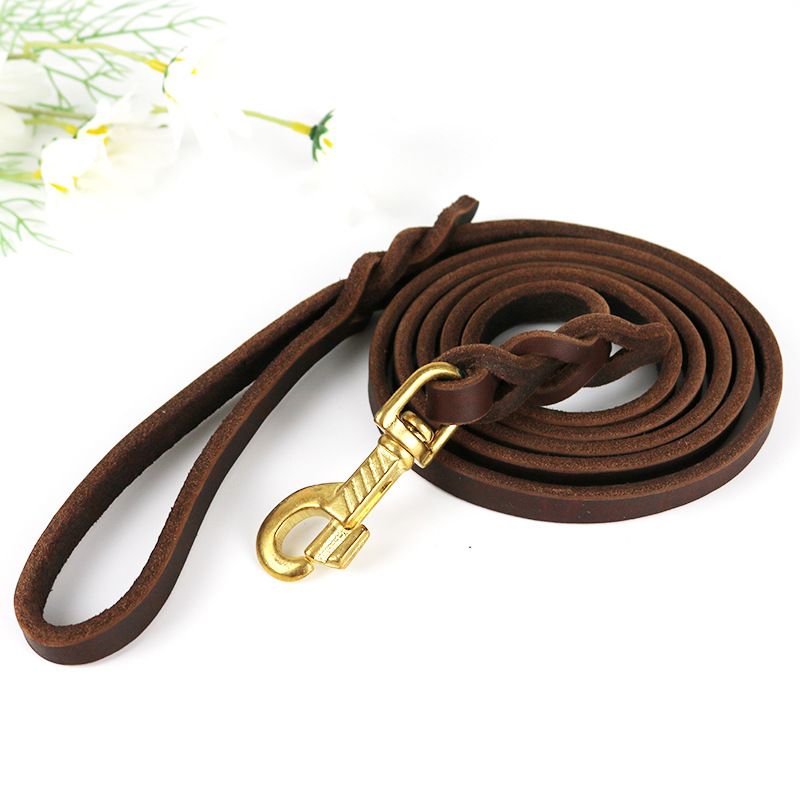 Kupferhaken-Haustier für mittelgroße und große Hunde, Golden Retriever-Hundeleine aus weichem Leder_voghion.com