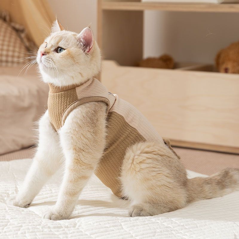 Combinaison de sevrage respirante à rayures serpent réglable postopératoire anti-léchage pour chat femelle_voghion.com
