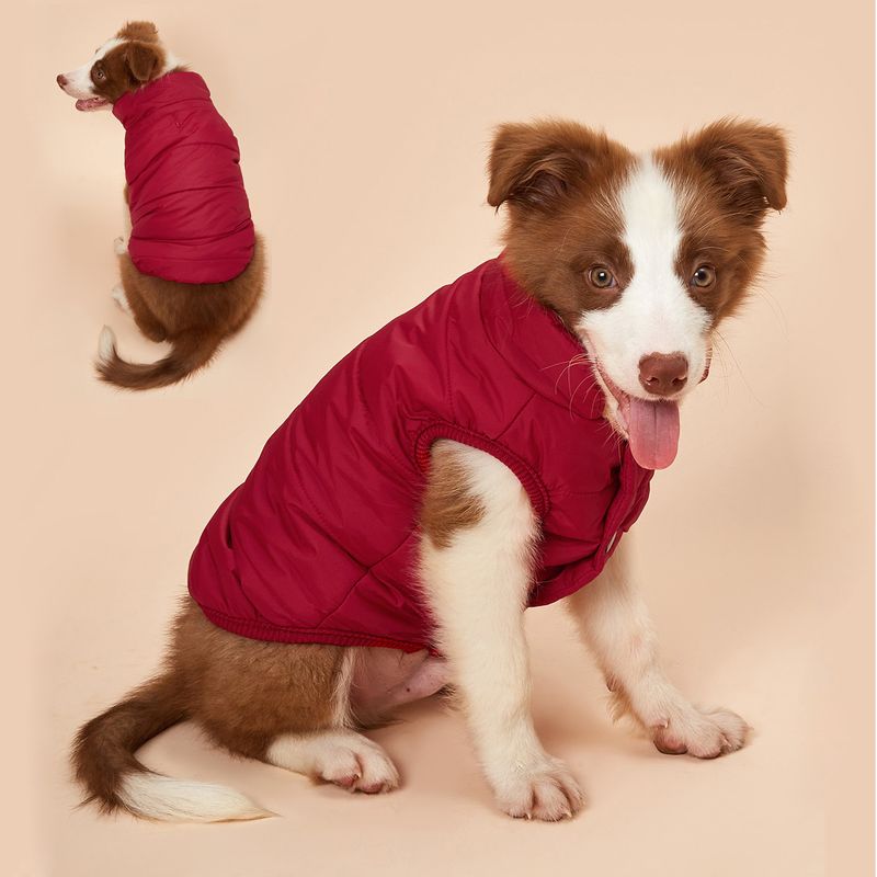 Winter Women's Warm Jacket With French Bulldog Lining Small And Medium Dogs, Soft Windproof Fabric Outfits For Labrador By PawParty Store_voghion.com