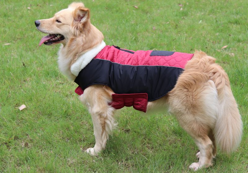 Pocket new pet clothes autumn and winter dog clothes vest cotton coat double sided wearable dog clothes coat clothing_voghion.com