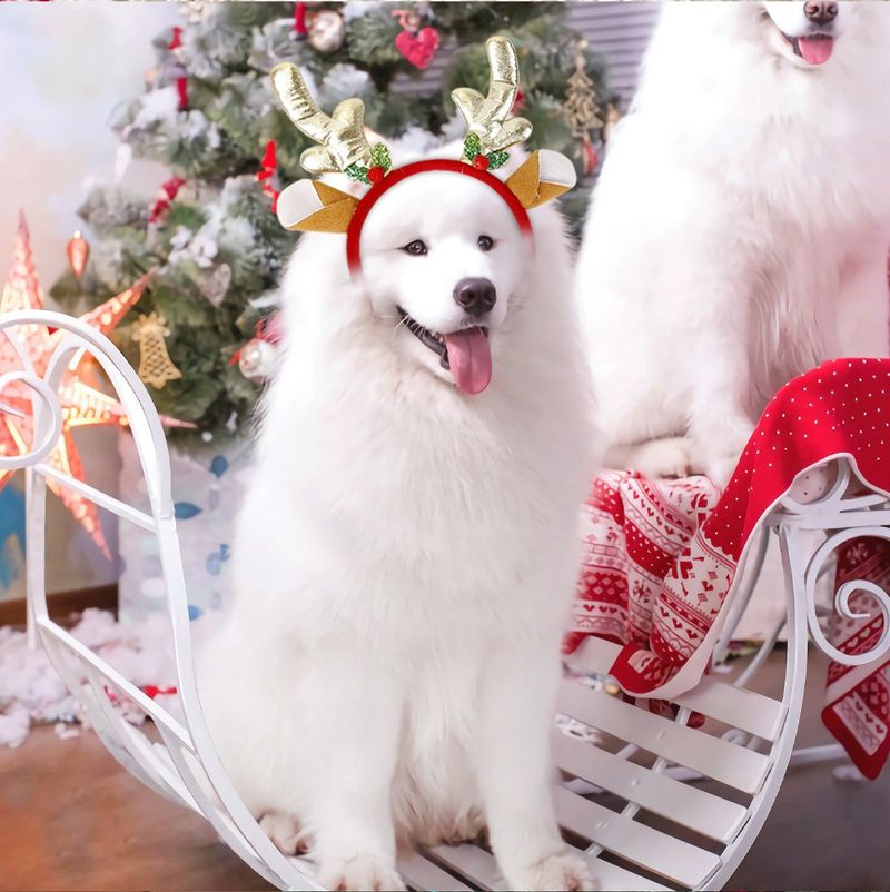 Jul Julepynt Julehårbånd til kæledyr Katte og hunde udklædt justerbart hårbånd fotorekvisitter_voghion.com